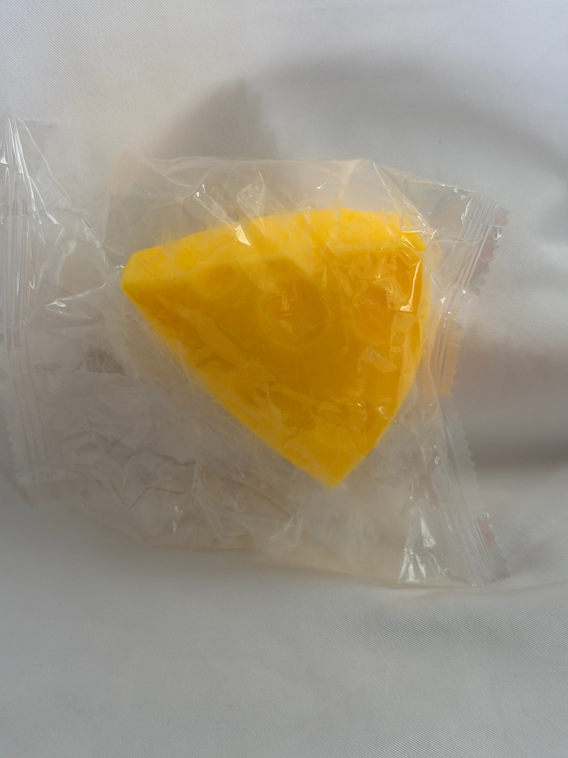 Cheese Squishy Toy